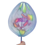Centripetal Spinner